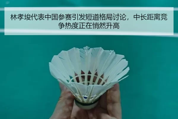lin-xiao-jun-dai-biao-zhong-guo-can-sai-yin-fa-duan-dao-ge-ju-tao-lun-zhong-chang-ju-li-jing-zheng-re-du-zheng-zai-qiao-3-519.jpg